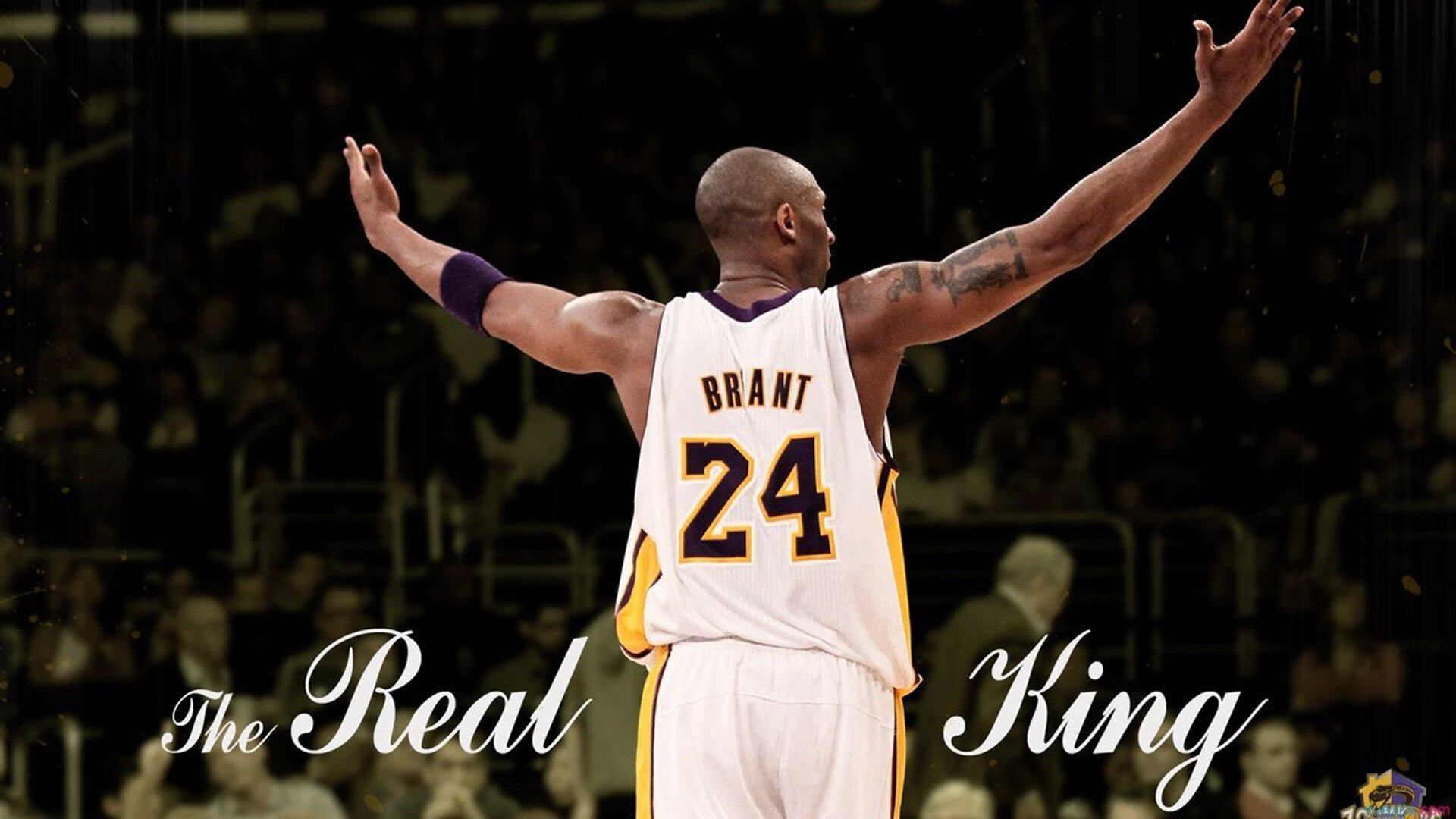 开云体育平台-_破纪录时刻：运动员创下个人或赛事新高_，运动员世界纪录